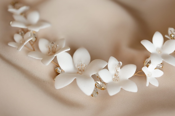 gał_Holly podwójna4_mn.jpg