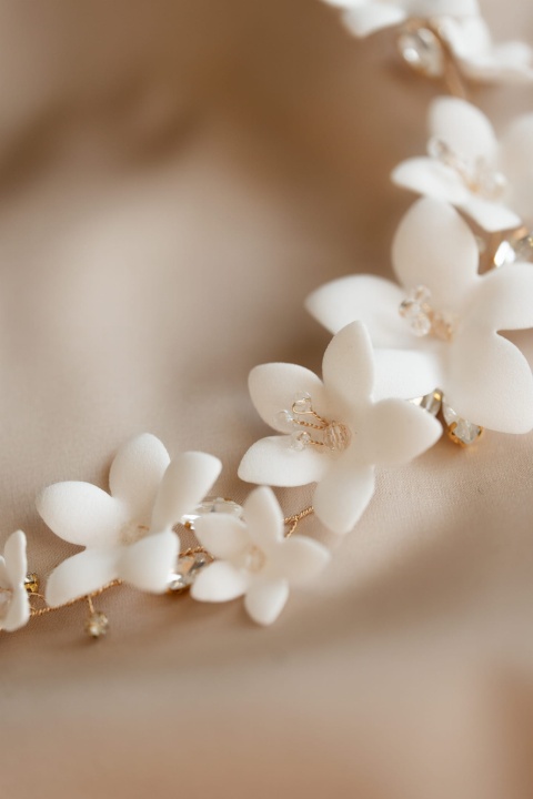 gał_Holly podwójna3_mn.jpg