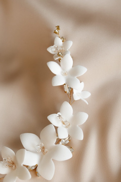 gał_Holly podwójna2_mn.jpg